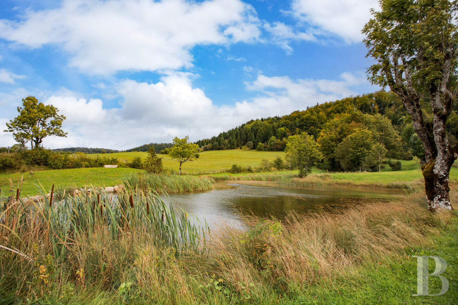 Dans le Haut-Bugey, à mi-chemin entre Lyon et Genève, une ferme abbatiale du 17e siècle transformée en une vaste et confortable demeure.  - photo  n°30